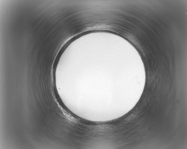 X0000060740988200512011415