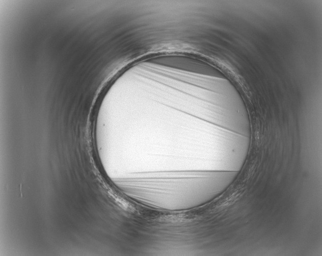 X0000060740990200512011415