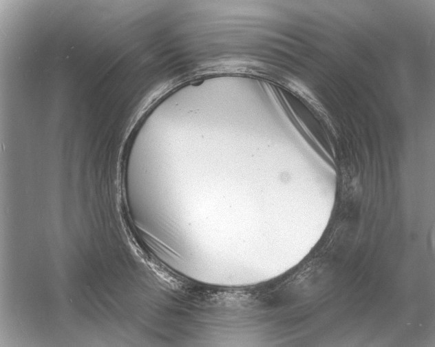 X0000060740994200512011415