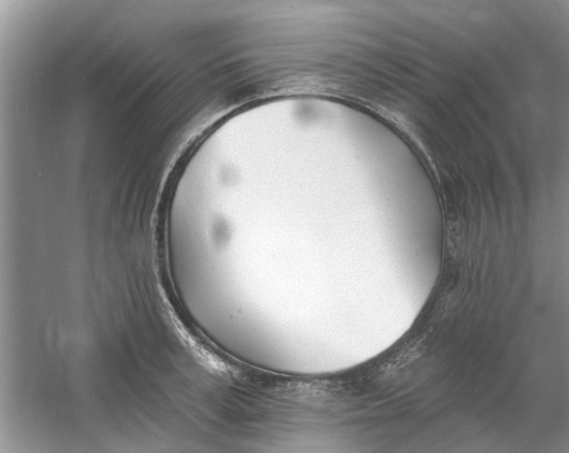 X0000060740995200512011415