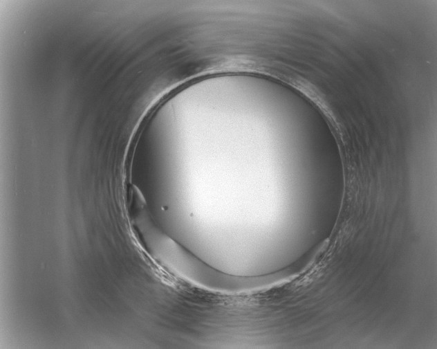 X0000060740996200512011415