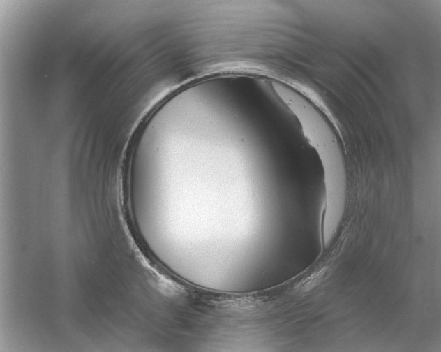 X0000060740999200512011415