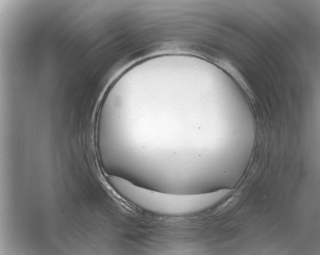 X0000060741004200512011415