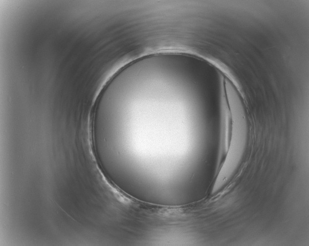 X0000060741006200512011415