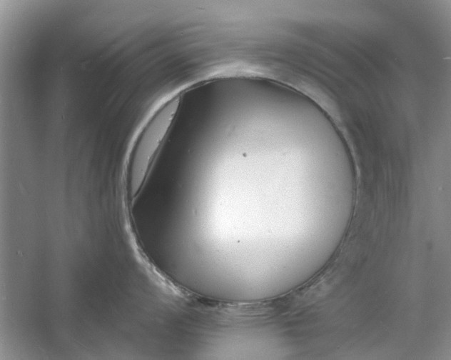 X0000060741008200512011415