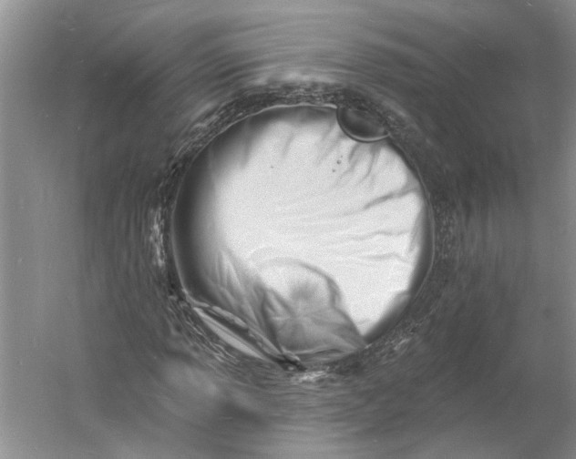 X0000060741013200512011414