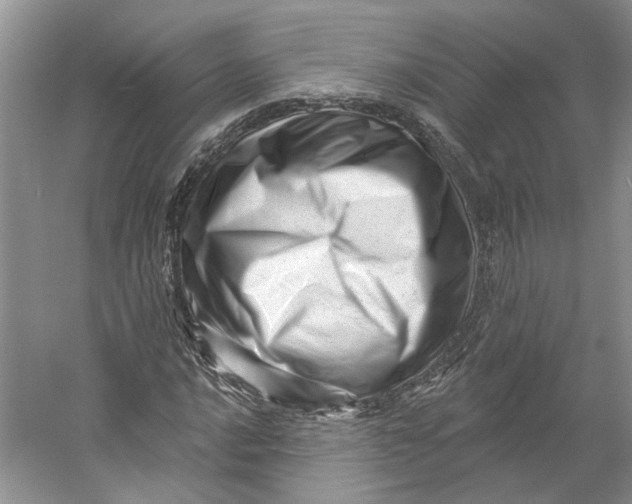 X0000060741016200512011414