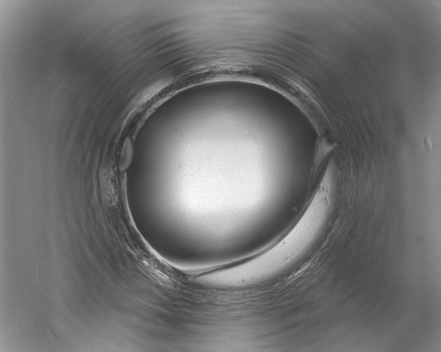 X0000060741018200512011414