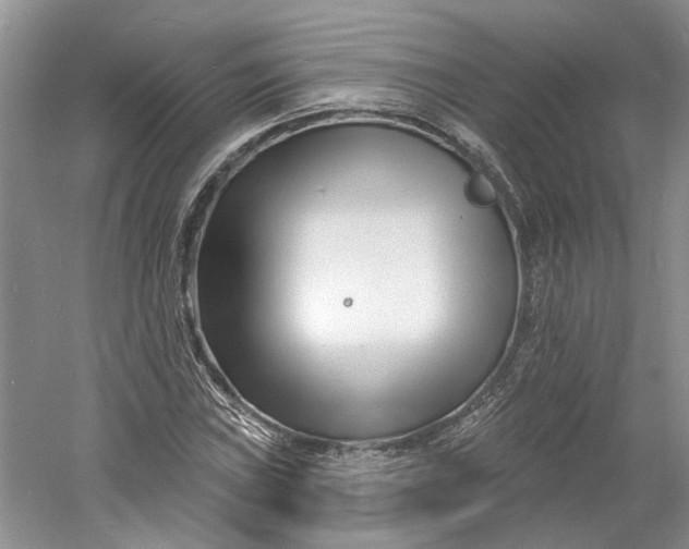 X0000060741019200512011414