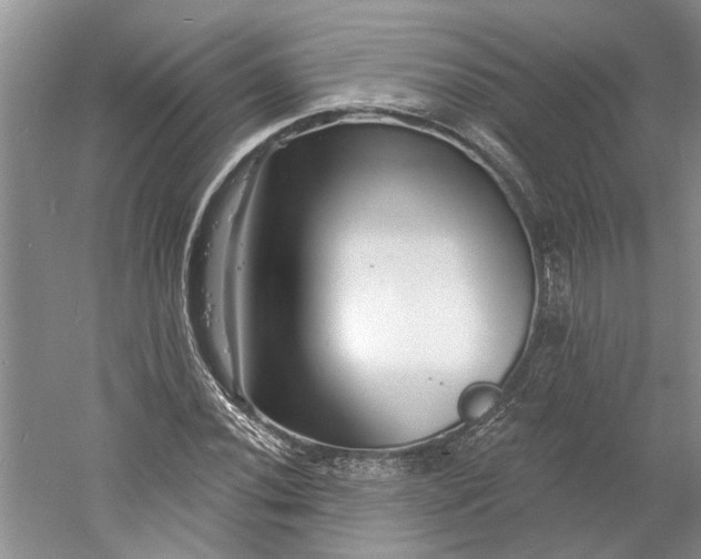 X0000060741020200512011414