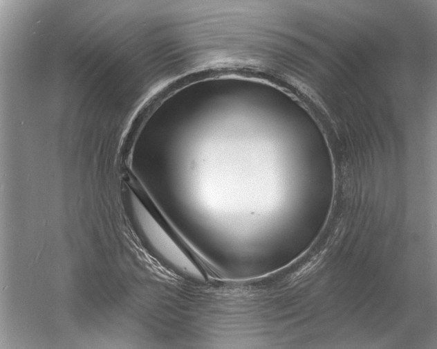 X0000060741021200512011414