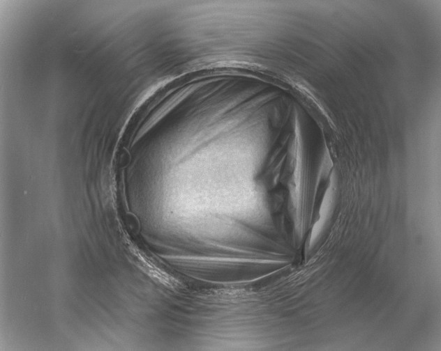 X0000060741024200512011414