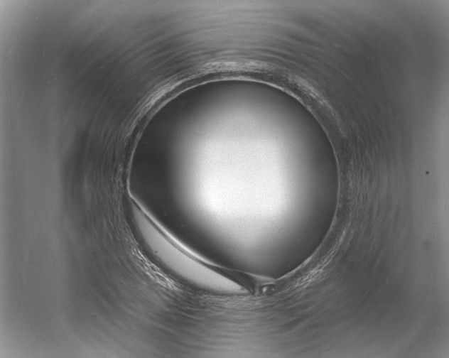 X0000060741025200512011414