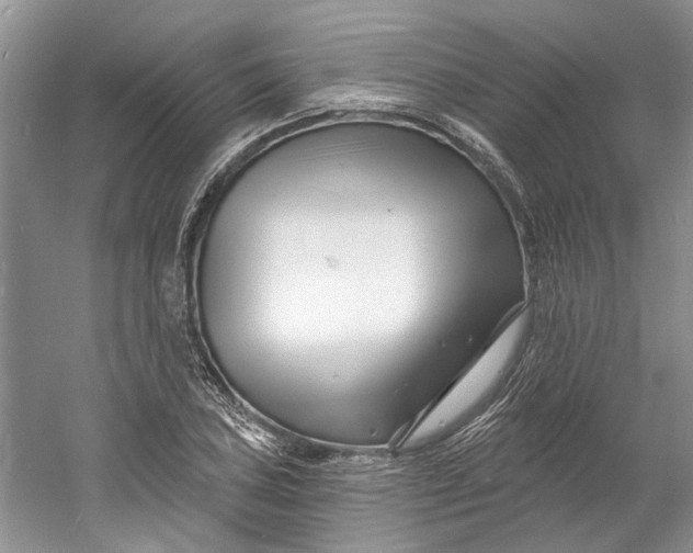 X0000060741027200512011414