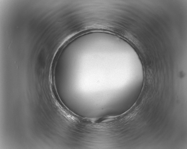 X0000060741028200512011414