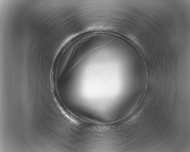 X0000060741030200512011414