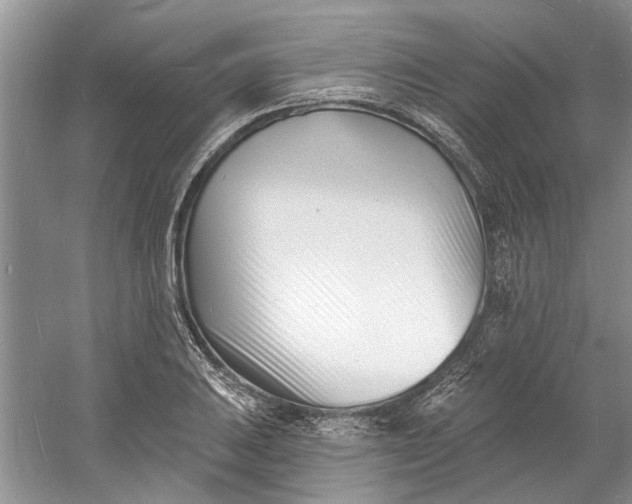 X0000060741031200512011414