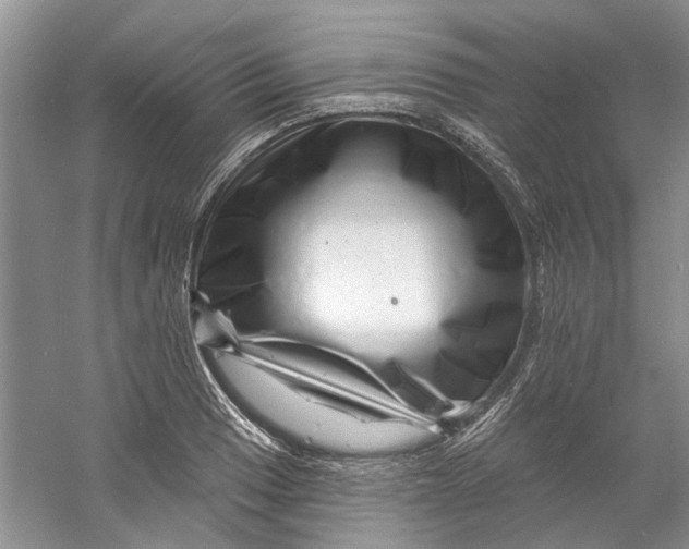 X0000060741033200512011414