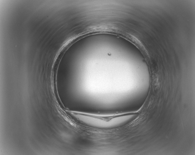 X0000060741035200512011414