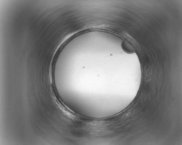 X0000060741036200512011414