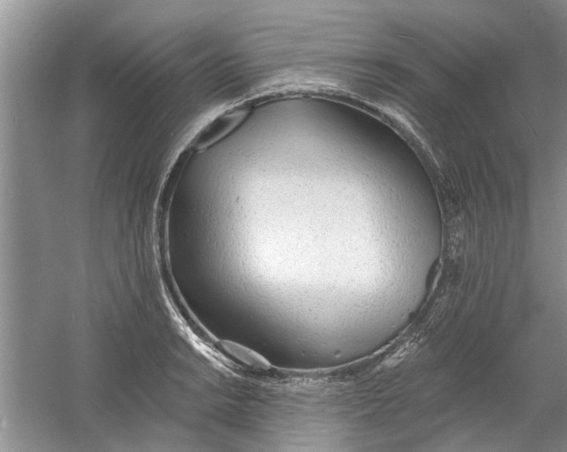 X0000060741038200512011414