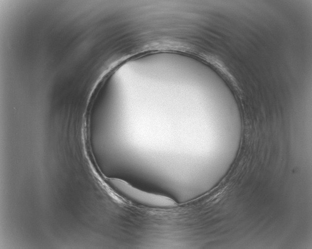 X0000060741040200512011414