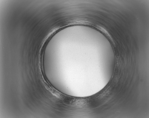 X0000060741043200512011414