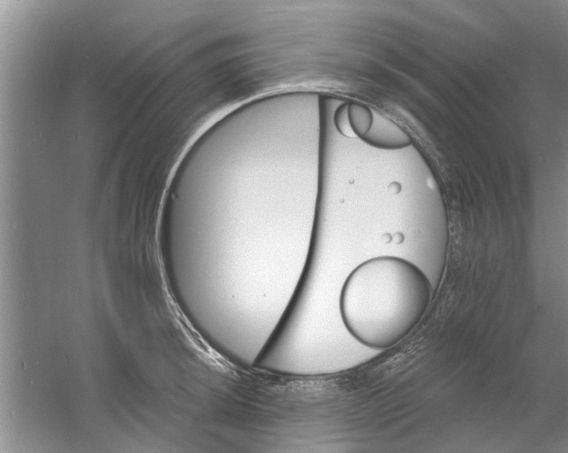 X0000060741044200512011414