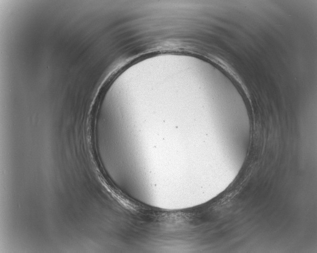 X0000060741045200512011414