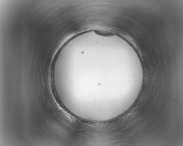 X0000060741048200512011414