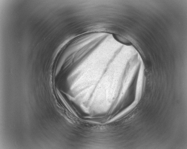 X0000060741051200512011415