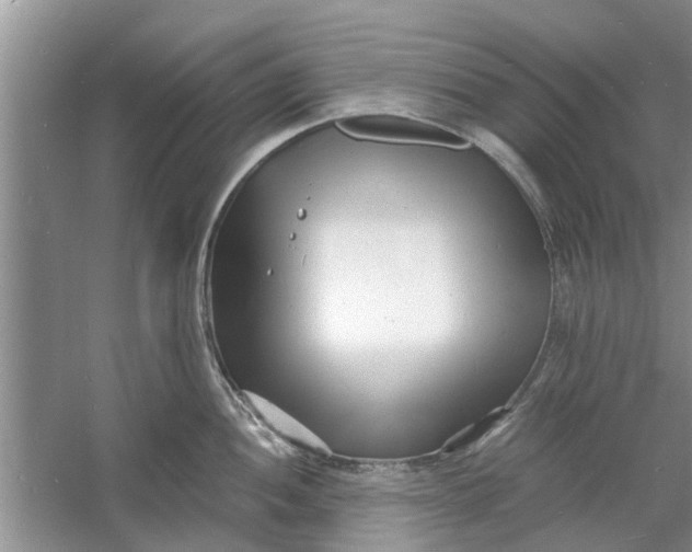 X0000060741052200512011415