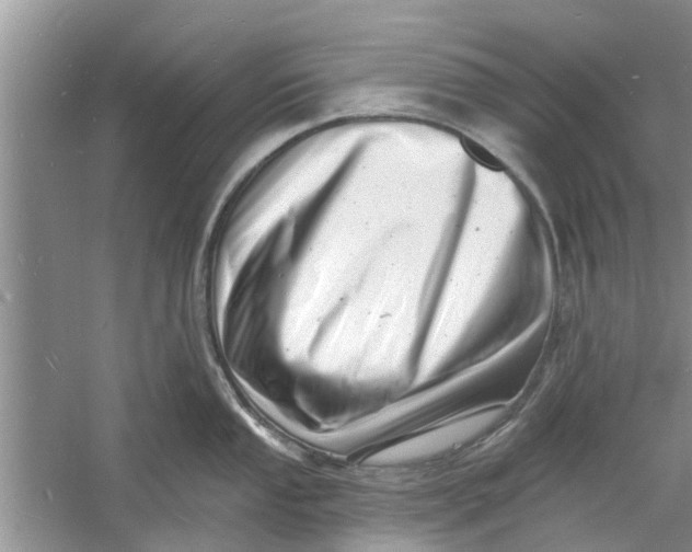 X0000060741053200512011415