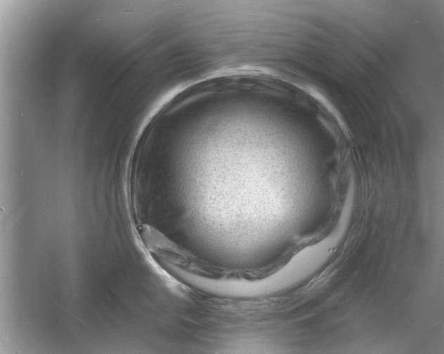 X0000060741054200512011415