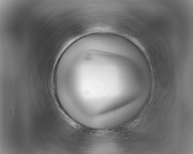 X0000060741056200512011415