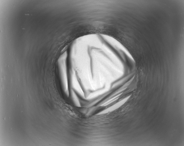 X0000060741057200512011414