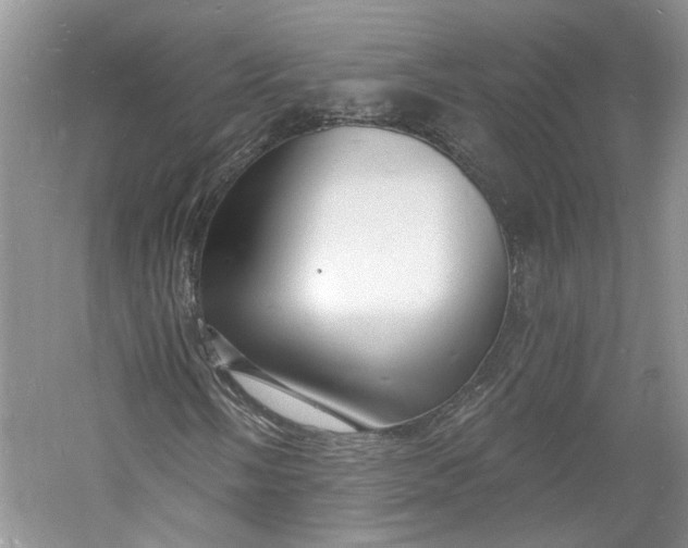 X0000060741058200512011414