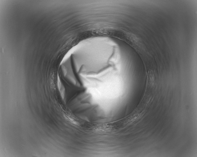 X0000060741060200512011414