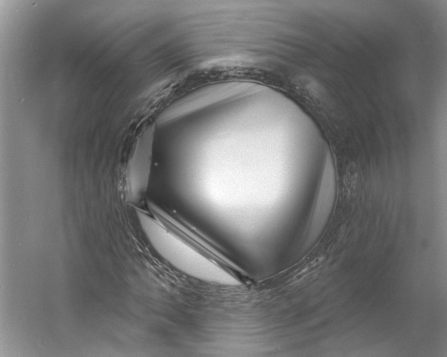 X0000060741062200512011414