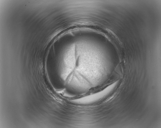 X0000060741065200512011414