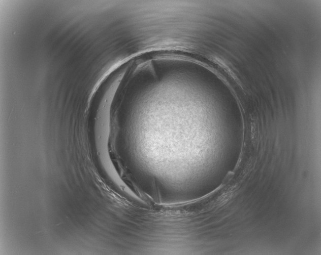 X0000060741069200512011414