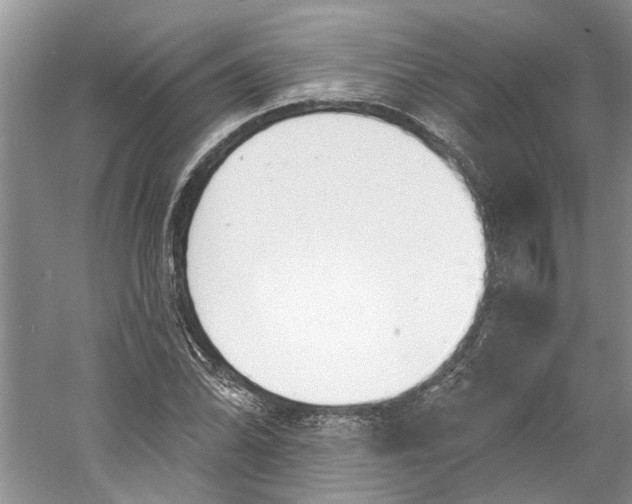 X0000060741070200512011414