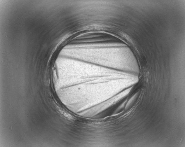 X0000060741075200512011413