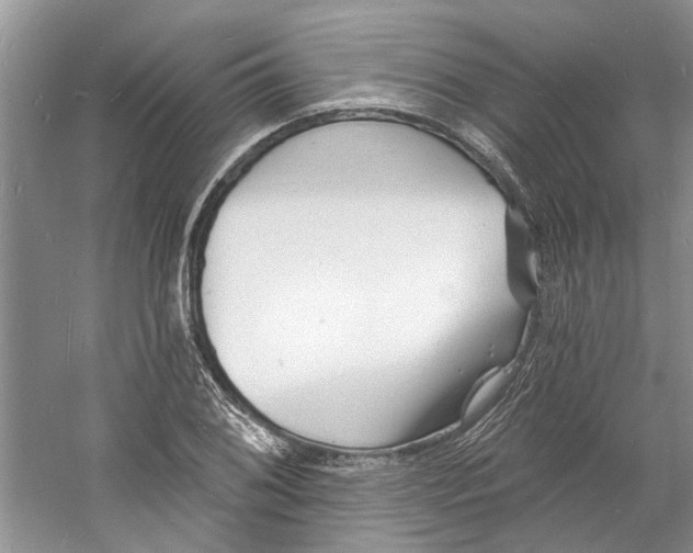 X0000060741076200512011413