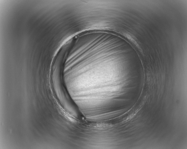 X0000060741077200512011413