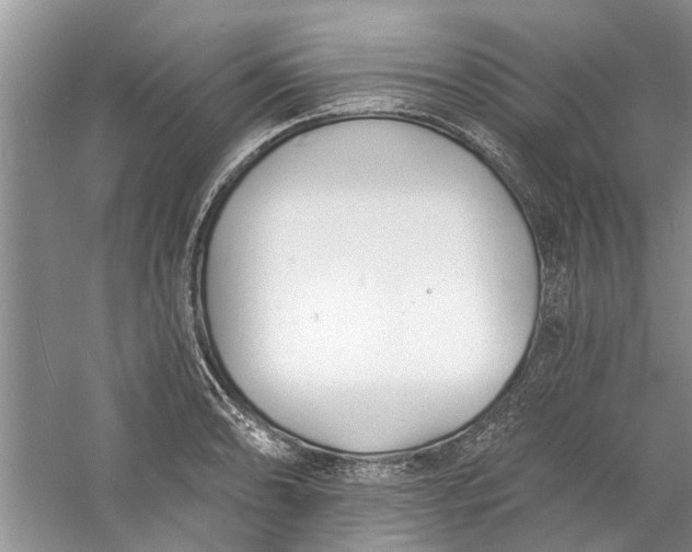 X0000060741086200512011413