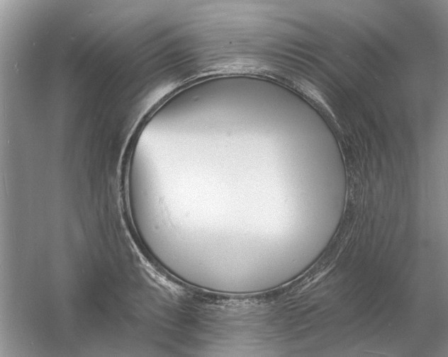 X0000060741087200512011413