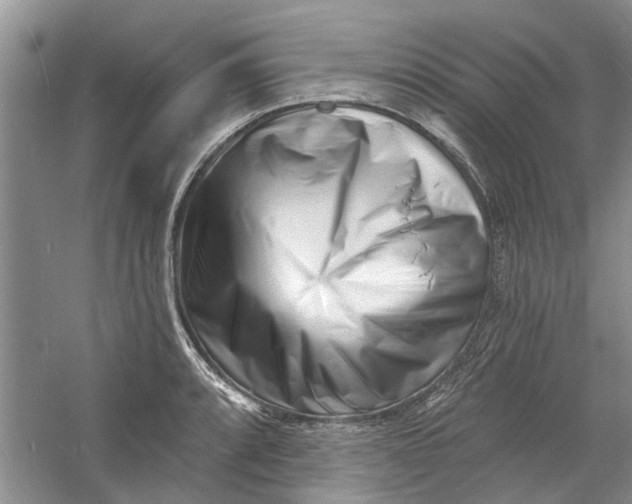 X0000060741088200512011413