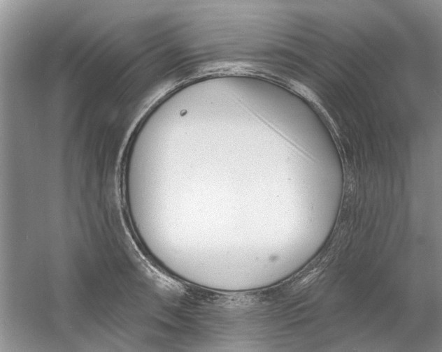 X0000060741090200512011413