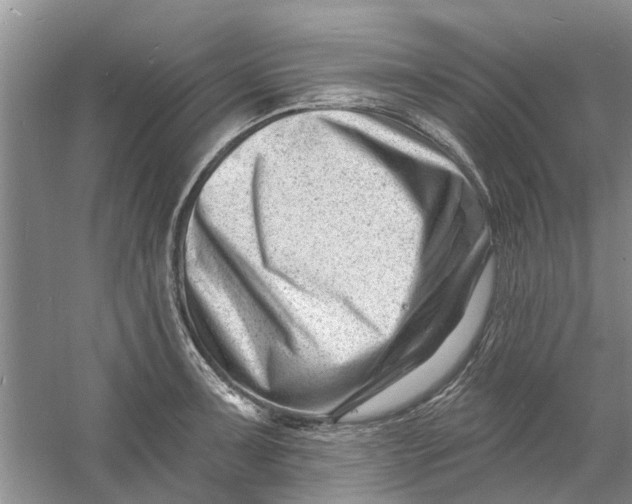 X0000060741091200512011413